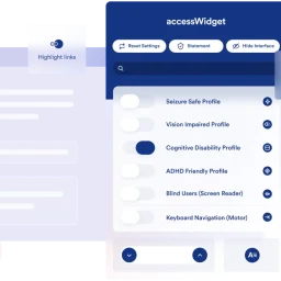 accessibility for website widget example